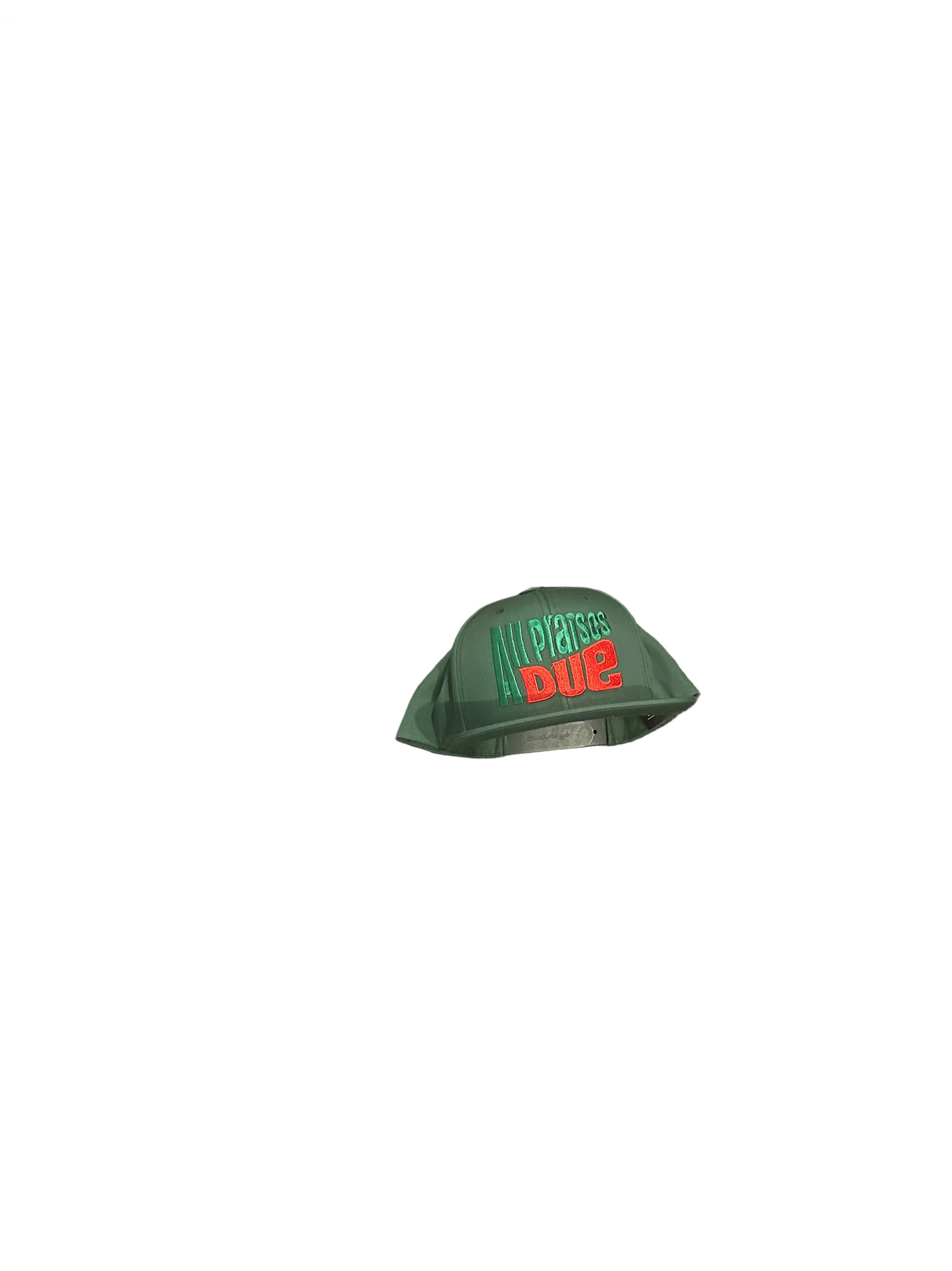 All praises due snapback