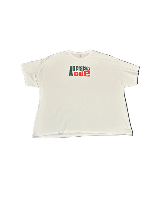 All praises due T-Shirt