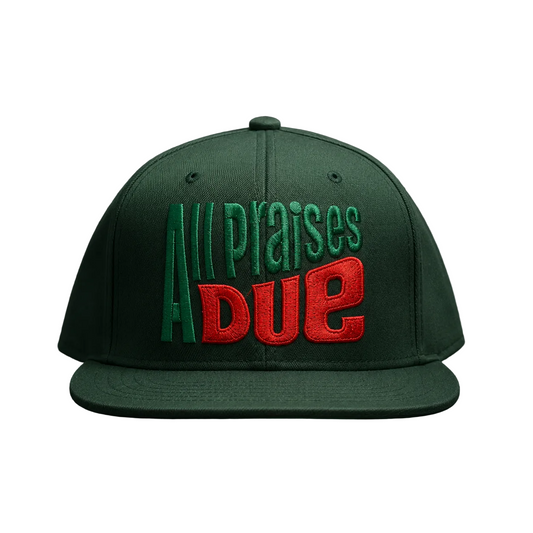 All praises due snapback