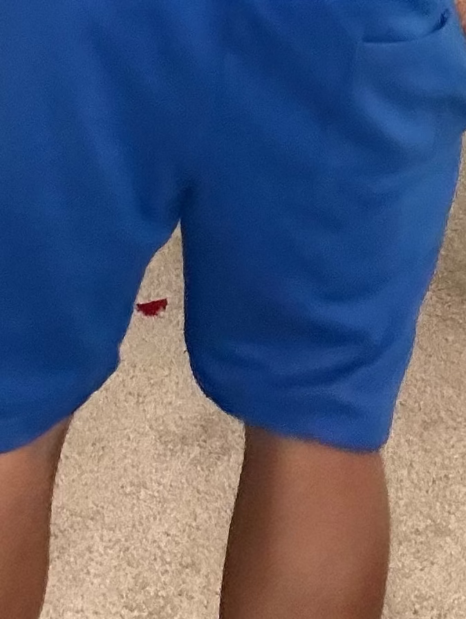 Playas Shorts